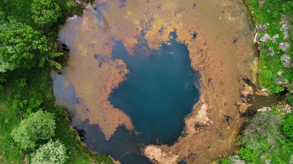 Dirty and Mossy Lake alt