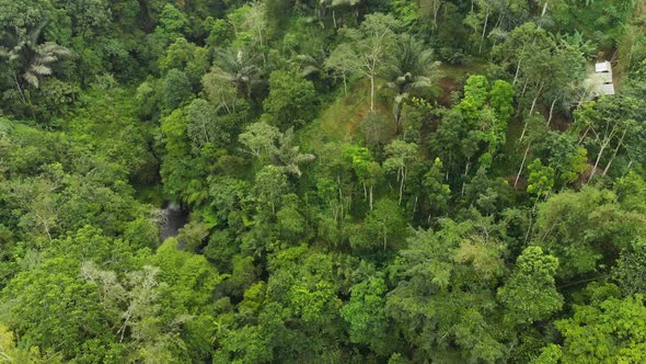 Aerial view of a rushing waterfall cascading in Bali, Indonesia.