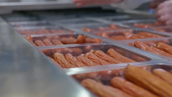 Workers of the Cooked Meats Plant Distribute Readymade Sausages in Plastic Packages alt