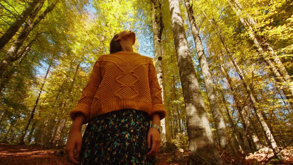 Bottom View of Girl Looking Up to the Tree Tops Covered with Sunbeams and Autumn Colors
