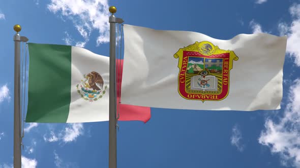 Mexico Flag Vs State Of Mexico Flag On Flagpole, Motion Graphics ...