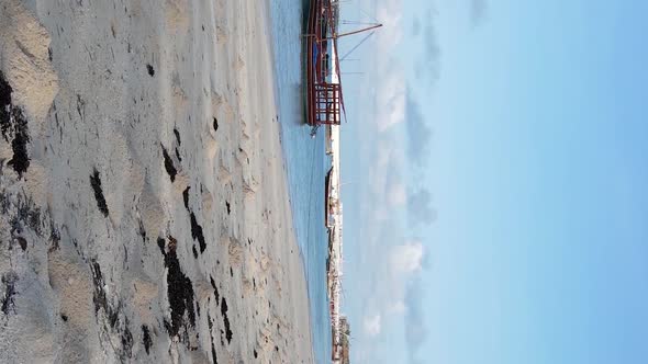 Vertical Video of the Coast of Zanzibar Island Tanzania Slow Motion alt