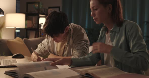 Students doing homework at home: the girl is helping the boy with his homework