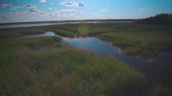 Wind on the Lake of Latvian National Park alt