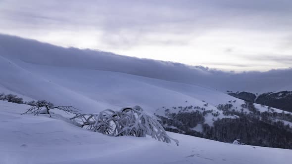 Beautiful Clouds Cover Snowcapped Mountains and Carpathian Forests alt