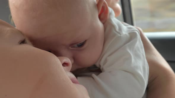 Boy loves traveling with his parents and baby sister alt