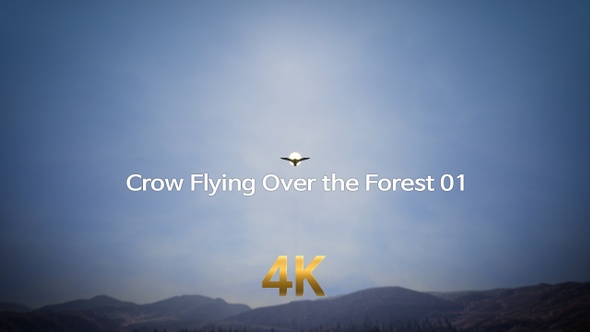 Crow Flying Over The Forest 4K 01 alt