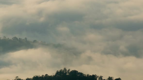 Fog Mountain Landscape alt