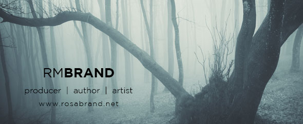 Audio jungle banner