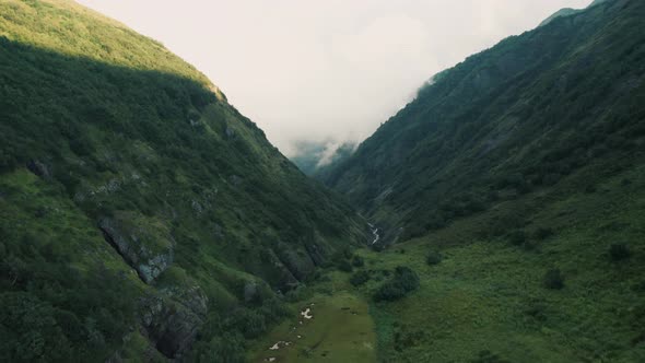 Aerial view; natural landscape with valley in fog