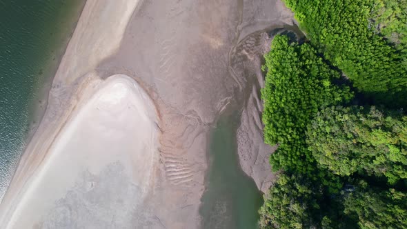 drone aerial top down view of a river during low tide revealing a sandbar and mangroves on a sunny d alt