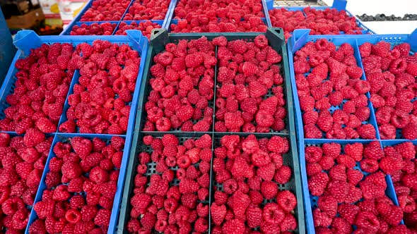 Raspberries Fruit Vegetable Market Shop Food 023