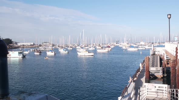 Yachts in Harbor or Bay Monterey Marina Old Fishermans Wharf California Coast