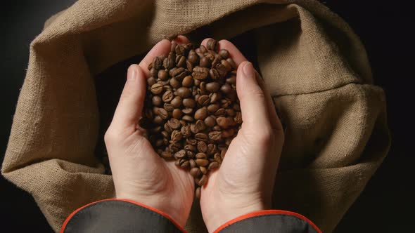 Human takes a roasted coffee beans from a sac by both hands
