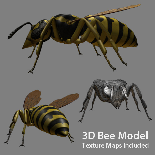 Low poly 3d model of Bee - 3DOcean Item for Sale