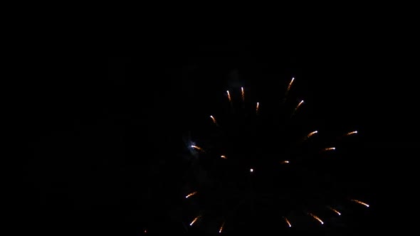 Abstract fantastic dazzling beautiful colorful fireworks display on black isolate night sky alt