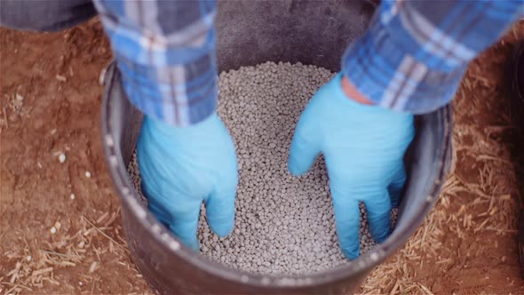 Farmer Examining Herbicides Fertilizer in Hands Before Fertilizing Agriculture Field alt