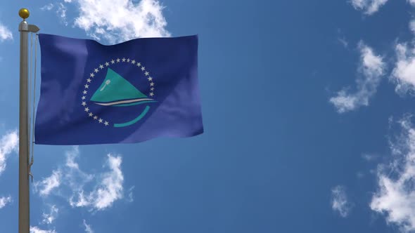 Pacific Community Flag On Flagpole alt