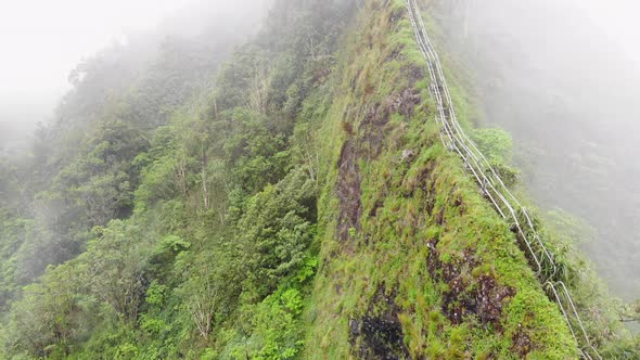 Aerial view of Stairway to Heaven (Haiku Trail) in Hawaii with stairs disappearing into the clouds alt