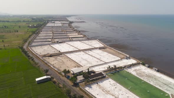 Shrimp Farming in Indonesia alt