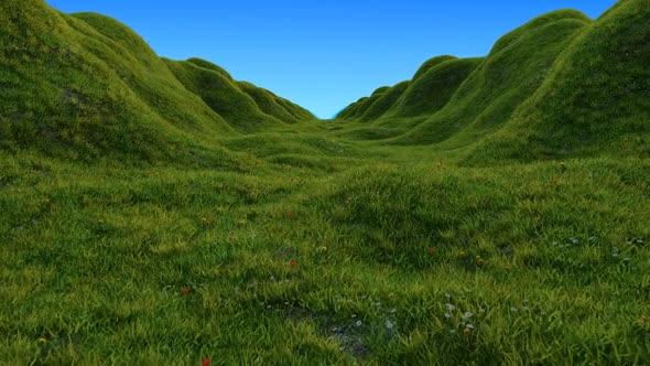 Grass Hills 02