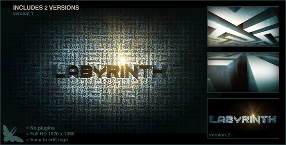Labyrinth Logo - VideoHive 5141040