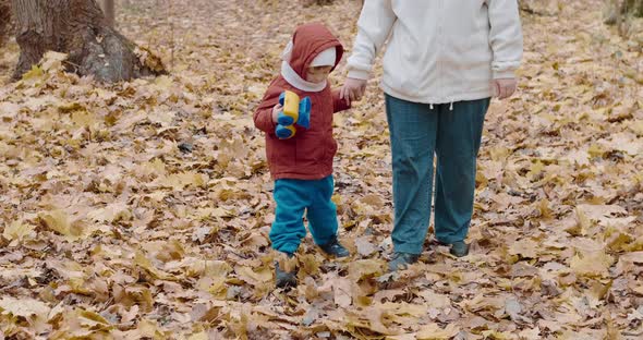 Small Child Plays with His Mother in the Autumn Forest