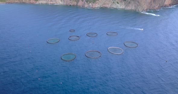 Aquaculture Aerial View