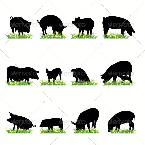 Pigs Silhouettes Set