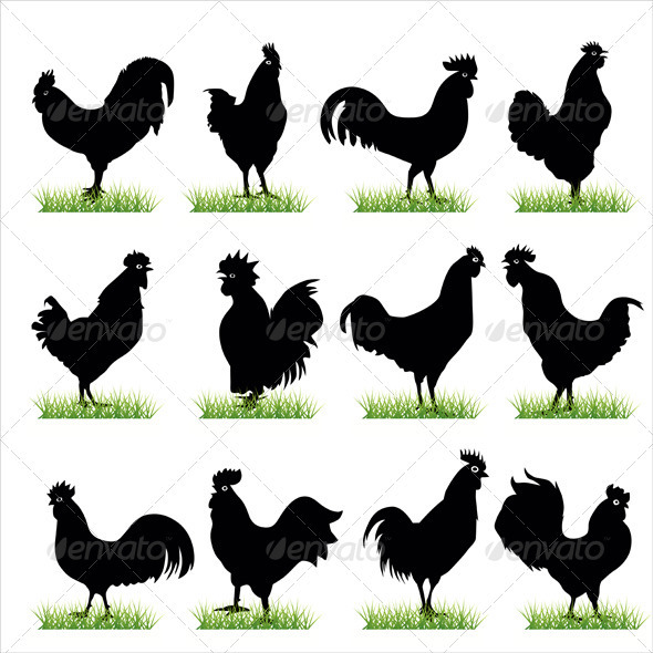 Roosters Silhouettes Set