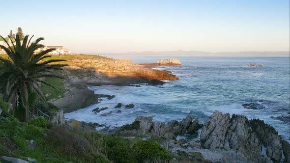 TimeLapse - Waves crashing into rocky coastline as sun is setting, palm tree in foreground, Hermanus alt