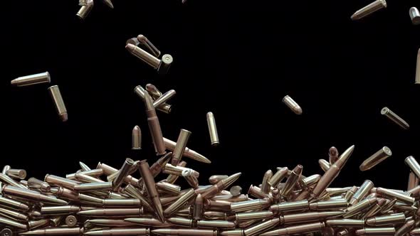 Bullets Screen Overlay alt