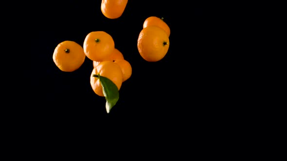 Orange Mandarin Flies Up And Down