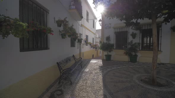 Calles tradicional de pueblo andaluz empedrada con macetas y flores