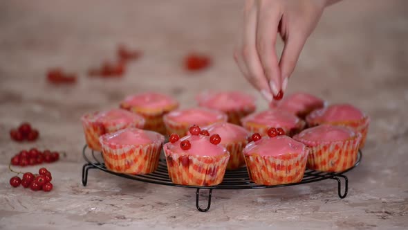 Woman decorated a tasty muffins With Red Currants Berries.