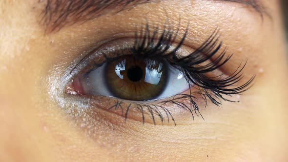 Closeup on a Female Eye alt