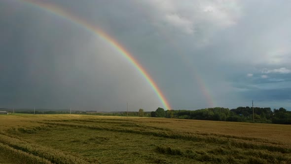  Ripe Crop Field After Rain and Colorfull Rainbow in Background Rural Countryside. alt