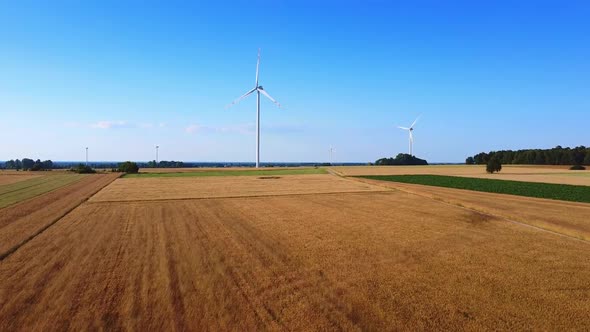 Wind Farm of Many Windmills in the Field alt