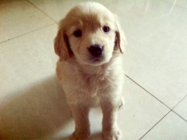 My Private Bookmarks