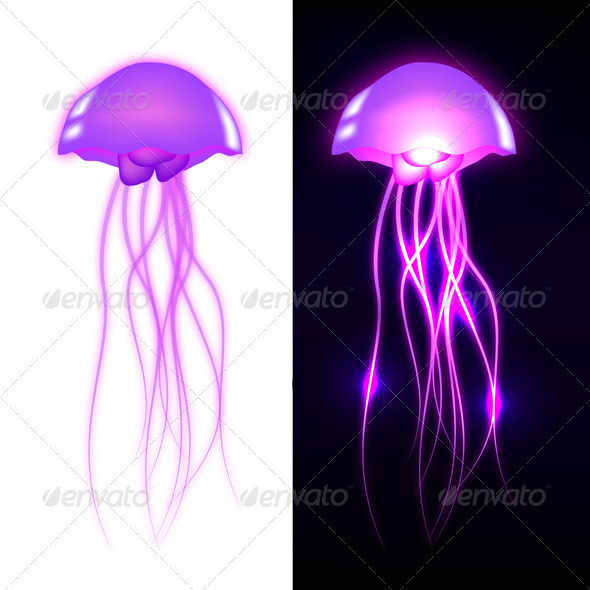 Vector Jellyfish - Animals Characters
