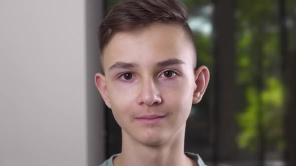 Smiling Brown Haired Teenage Guy with Brown Eyes is Looking at Camera