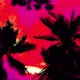 Storm Palms Under Acid Sky - VideoHive Item for Sale
