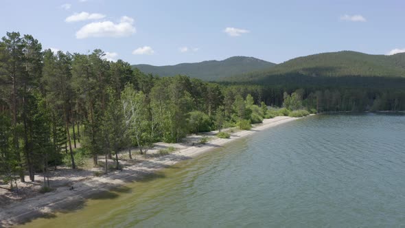 Coast of a wild beach near a pine forest against the backdrop of mountain peaks alt
