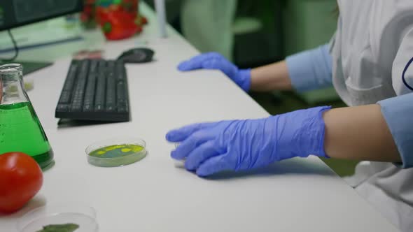 Chemist Analyzing Plant Based Beef Substitute for Vegetarien People alt