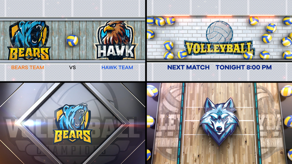 Volleyball Bumper 3 (4-Bumpers) Logo Stings template preview