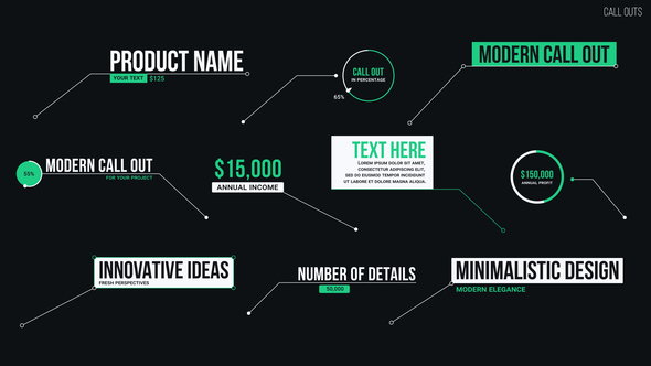 Call Outs Infographics template preview