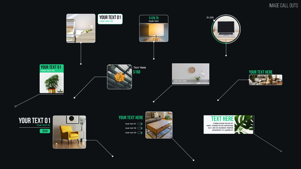 Image Call Outs Infographics template preview