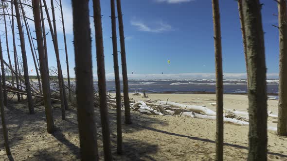 Kiteboarding on Baltic beach in Latvia in spring