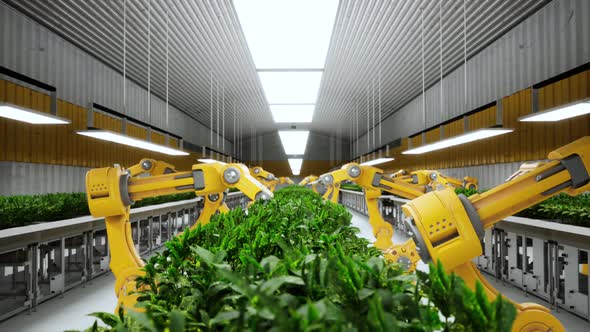 Grow Plants Factory 3D Concept Automated Robot Arm Assembly Line Manufacturing