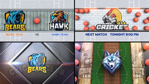 Cricket Bumper 4 (4-Bumpers) Logo Stings template preview